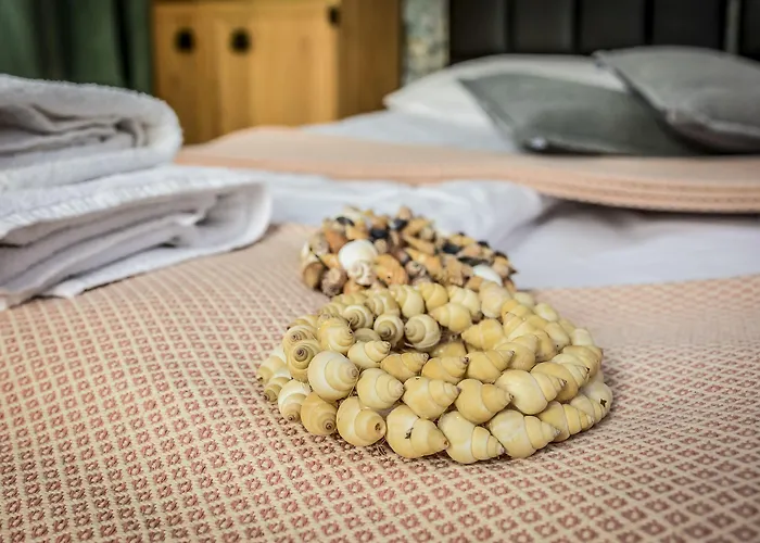 住宿加早餐酒店 薇拉布里扎酒店 格丁尼亚